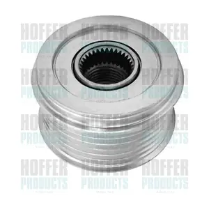 45109 HOFFER