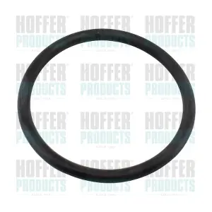 HOFFER 01676