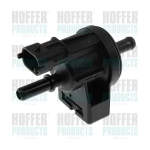 8029452 HOFFER