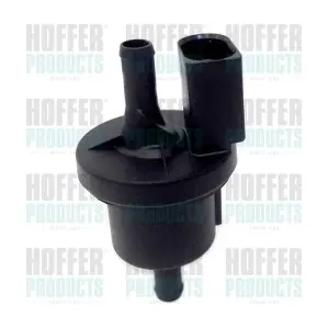 8029384 HOFFER