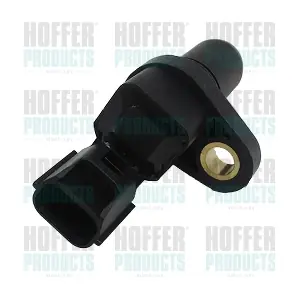 7517731 HOFFER