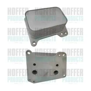 8095196 HOFFER
