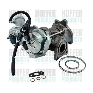 6900953 HOFFER