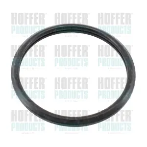 HOFFER 01685