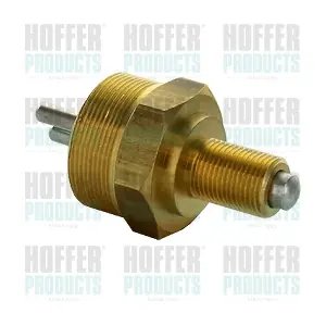 3600100 HOFFER