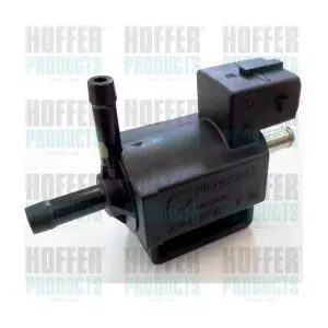 8029368 HOFFER