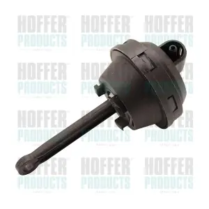 8029653 HOFFER