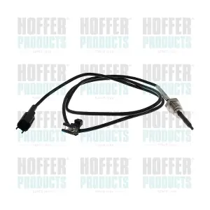 7452619 HOFFER