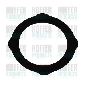 016264 HOFFER