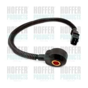 75175003 HOFFER