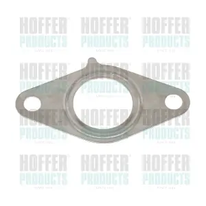 016203 HOFFER