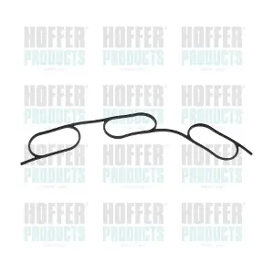 016180 HOFFER