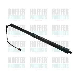 H301003 HOFFER