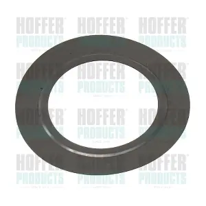 016196 HOFFER
