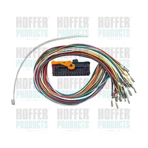 25030 HOFFER