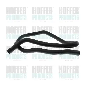8197229 HOFFER