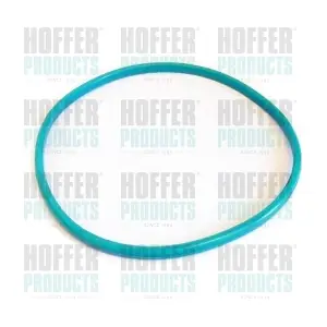 GSK03 HOFFER
