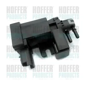 8029054 HOFFER