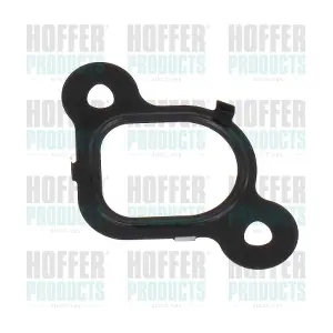 016253 HOFFER