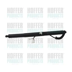 H301074 HOFFER