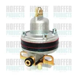5447 HOFFER