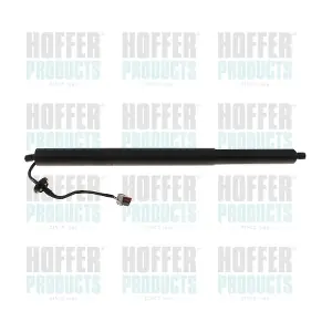H301043 HOFFER