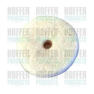 4884 HOFFER