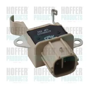 52379 HOFFER
