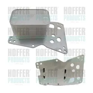 8095267 HOFFER