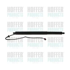 H301112 HOFFER