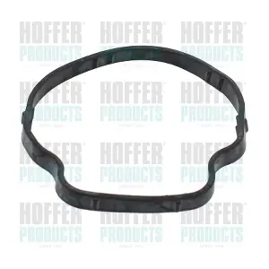 01696 HOFFER