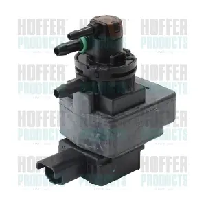 8029339 HOFFER