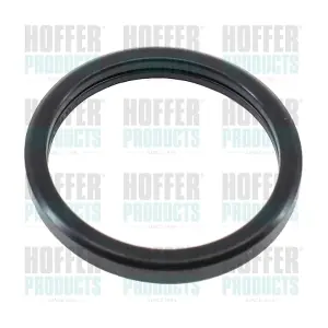 HOFFER 01658