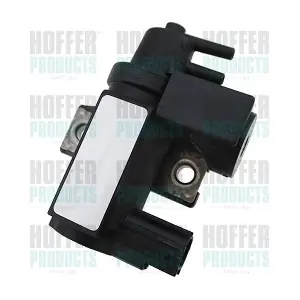 80299006 HOFFER