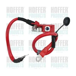 241028 HOFFER