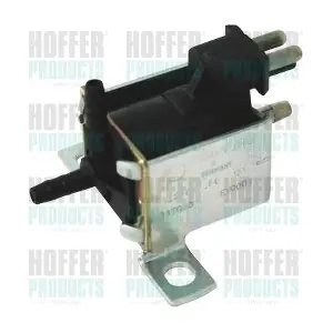 8029135 HOFFER