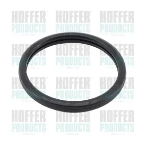 016105 HOFFER
