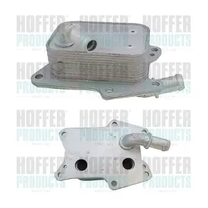 8095256 HOFFER