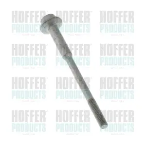 98829 HOFFER