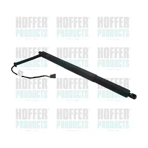 H301011 HOFFER