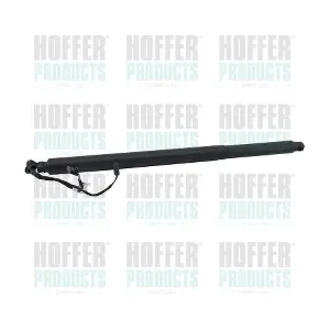 H301093 HOFFER