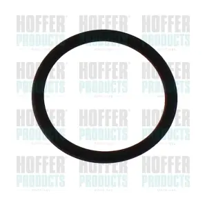 98813 HOFFER
