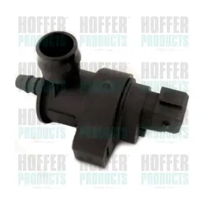 8029441 HOFFER