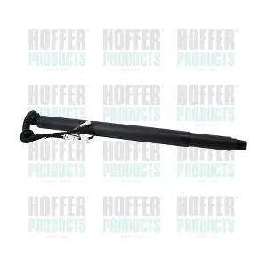 H301072 HOFFER