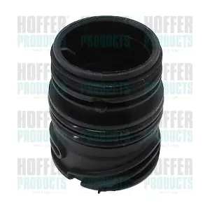 25492 HOFFER