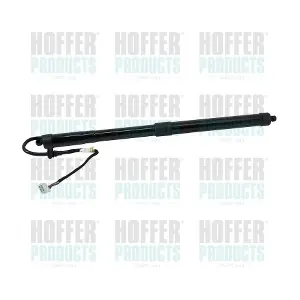 H301095 HOFFER