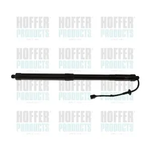 H301110 HOFFER