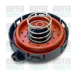 8091612 HOFFER
