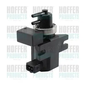 8029474 HOFFER