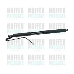 H301077 HOFFER